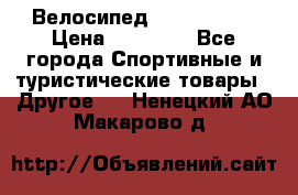 Велосипед Viva Castle › Цена ­ 14 000 - Все города Спортивные и туристические товары » Другое   . Ненецкий АО,Макарово д.